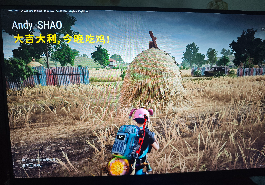 如果“玩”能让你快乐，那就不算荒度余生